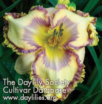 Daylily Easter Egg